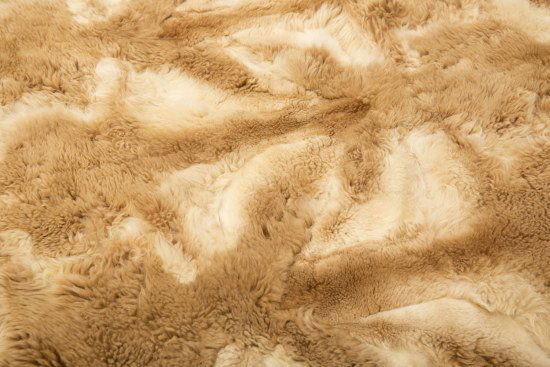 Peruvian Vicuna Fur Blanket : Lot 343