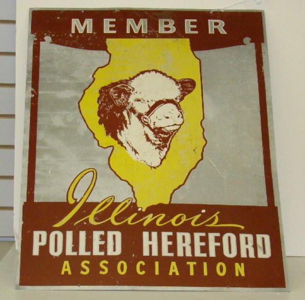 352: POLLED HEREFORD CATTLE TIN SIGN : Lot 352