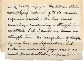 John muir essays